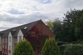 Complaints have been made to Leeds City Council about the 'cacophony of noise'
