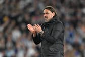 CONFIDENCE: In Leeds United and boss Daniel Farke, above. Photo by Michael Regan/Getty Images.