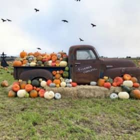 The Farmer Copleys pumpkin festival runs until October 31 and offers pumpkin picking, tractor rides, entertainment, street food, and fancy dress competitions. Tickets can be bought online at: https://farmercopleys.co.uk/events/pumpkin-festival/