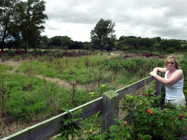 Resident Ann Poulter surveys the building land behind her home on First Avenue which had flooded in recent months.