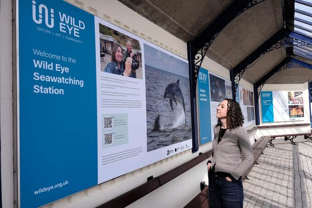 The Seawatching Station has interpretation panels to help visitors identify what they see through the free telescopes.