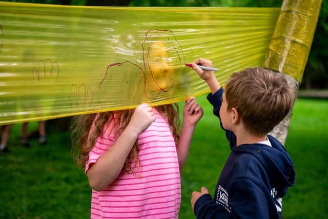 Discover in a Day at YSP