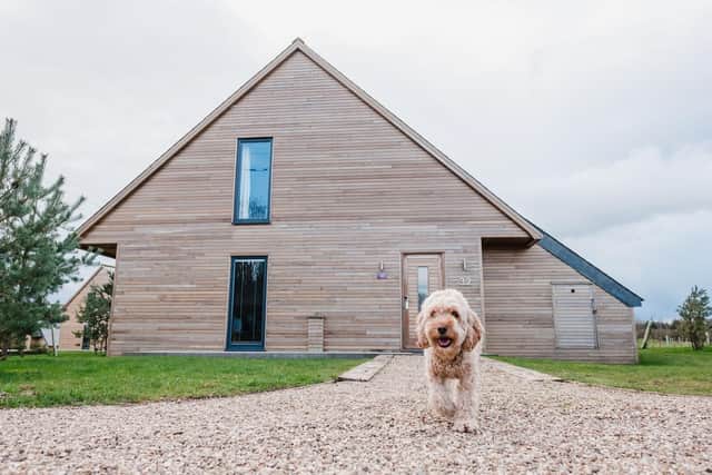 Darwin Escapes to head to DogFest at Harewood House