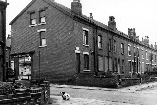 A black and white dog scratches its ear in this view looking from the end of Back Westbury Street onto Parnaby Road.