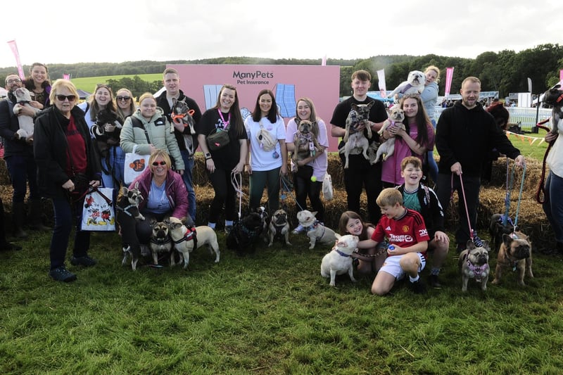 Fans of English and French bulldogs were not left disappointed at this year's DogFest as a small crowd of owners bonded over their love of the breeds.