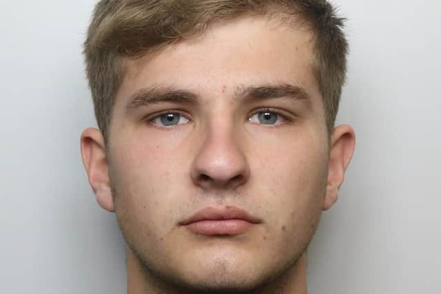 Harry Webster, 20, admitted one count of rape