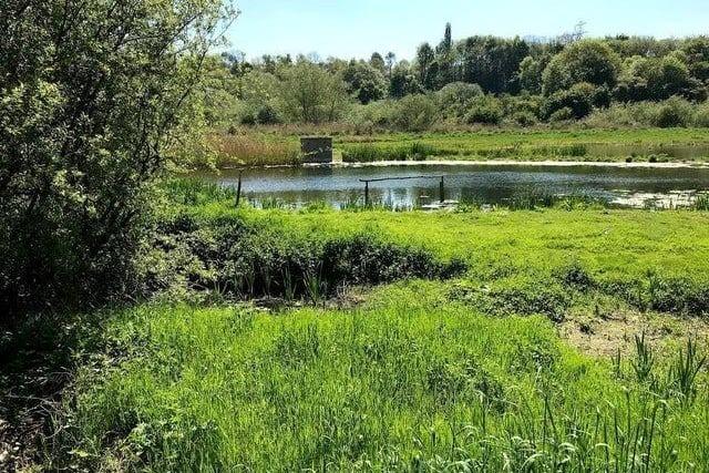 Rodley Nature Reserve is a wetland reserve created in 1999. This scenic reserve is a relaxing destination, where you can take in the beautiful surrounding nature as you walk. It is just a 20-minute drive outside of Leeds city centre.