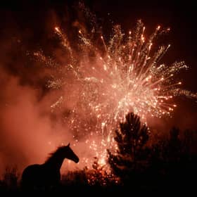 Yorkshire MPs are calling for tighter fireworks regulatutions.