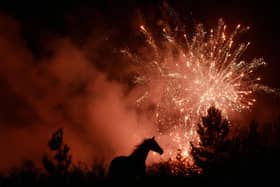 Yorkshire MPs are calling for tighter fireworks regulatutions.