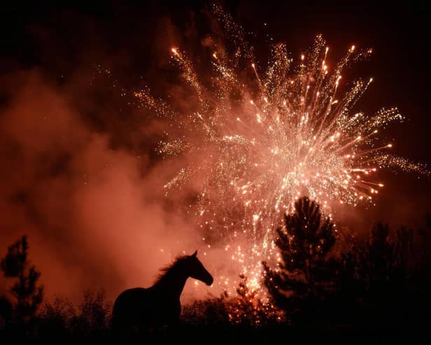 Yorkshire MPs are calling for tighter fireworks regulatutions.