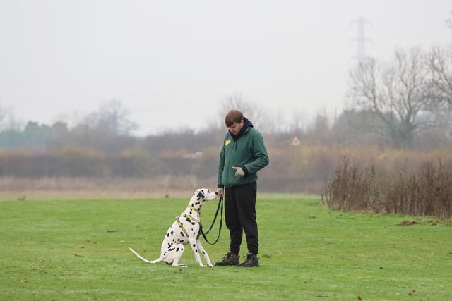 We met handsome Max, who was practising his basic training whilst out on a walk. He’s a six-year-old Dalmatian who was born deaf so is looking for a very specific home. Being deaf doesn’t hold him back one bit. He knows lots of sign language and the training team will be happy to pass on these skills to his new family. He is a lovely friendly boy with the people he knows but can get quite overwhelmed by strangers so needs a quiet adult only home with few visitors.