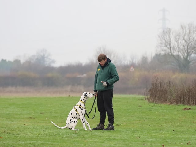 We met handsome Max, who was practising his basic training whilst out on a walk. He’s a six-year-old Dalmatian who was born deaf so is looking for a very specific home. Being deaf doesn’t hold him back one bit. He knows lots of sign language and the training team will be happy to pass on these skills to his new family. He is a lovely friendly boy with the people he knows but can get quite overwhelmed by strangers so needs a quiet adult only home with few visitors.