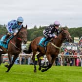 Summer Jumps Racing at Cartmel