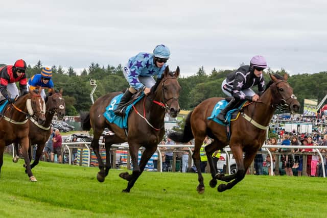 Summer Jumps Racing at Cartmel