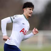 DECISIVE STRIKE: From Tottenham Hotspur's Jude Soonsup-Bell, above, to beat Leeds United's under-21s despite big praise for the young Whites. 
Photo by Paul Harding/Getty Images.