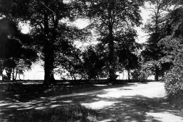 Parkland in Gotts Park taken prior to the official opening of the park in July 1928. The park and grounds of Armley House, former home of Benjamin Gott.
