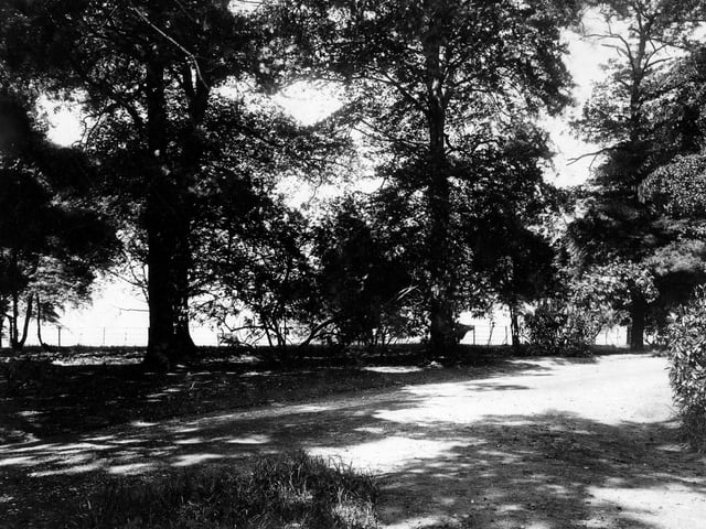 Parkland in Gotts Park taken prior to the official opening of the park in July 1928. The park and grounds of Armley House, former home of Benjamin Gott.