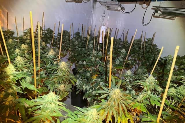 General picture of a cannabis farm. Picture: West Yorkshire Police