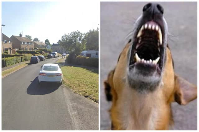 The German Shepherd attacked the passer-by after escaping the garden on Highfield Road in Aberford. (library pics by Google Maps / National World)