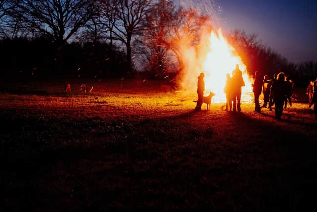 PDSA reveal Bonfire Night pet safety tips