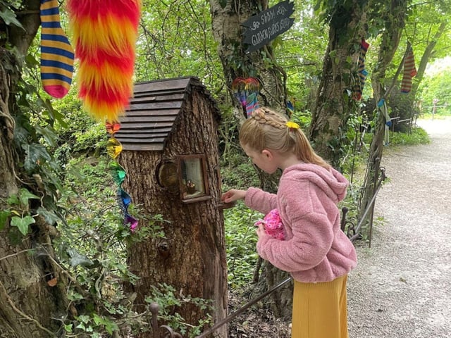 Discover tiny fairy folk houses in the Enchanted Fairy Forest