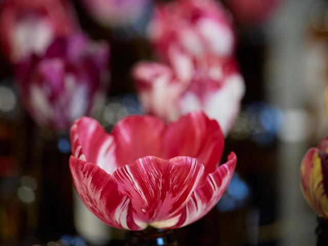 The show took place on Saturday, May 9 at the Primrose Hall in Horbury.