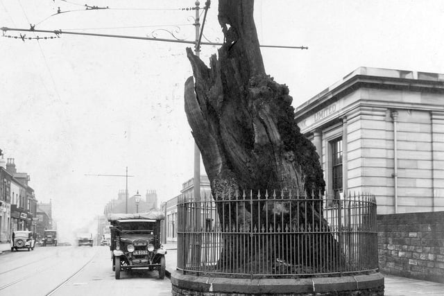 The remains of the original oak on Otley Road, surrounded by railings, in March 1934. Behind the tree is the Midland Bank. Otley Road looking north can be seen, with several cars and tram wires and lines.