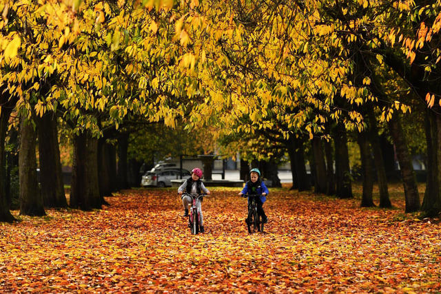 A perfect detour on a canal walk is Gotts Park in Armley - enjoy a picturesque walk through the woodland and canal trails, and soak up the stunning autumnal views across the Kirkstall Valley. There's a cafe in the Golf Club at Gotts mansion which is open to the public, and a chldren's playground and skate park in the adjacent Armley Park.