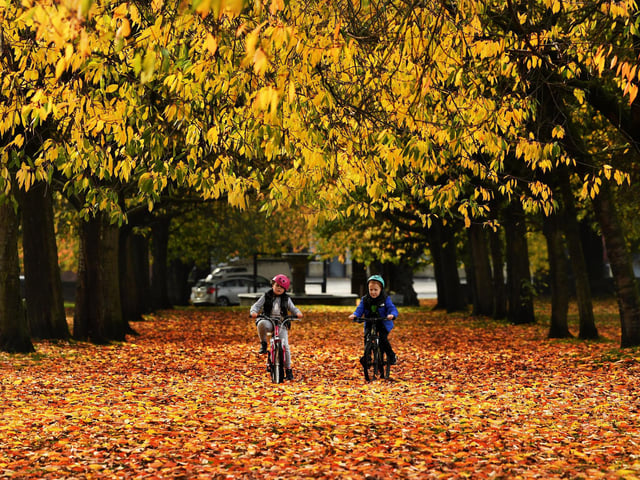 A perfect detour on a canal walk is Gotts Park in Armley - enjoy a picturesque walk through the woodland and canal trails, and soak up the stunning autumnal views across the Kirkstall Valley. There's a cafe in the Golf Club at Gotts mansion which is open to the public, and a chldren's playground and skate park in the adjacent Armley Park.
