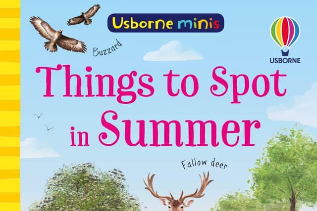 Things to Spot in Summer by Lara Bryan, Kate Nolan and Di Brookes
