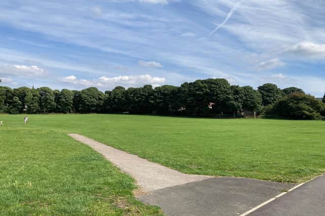 Queens Park pitches
cc Dawn Seary