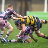 Leeds Tykes are closing in on safety (Picture: Tony Johnson)