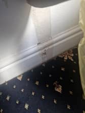 The mother said that the mess in the guesthouse was causing a risk to her and her children.