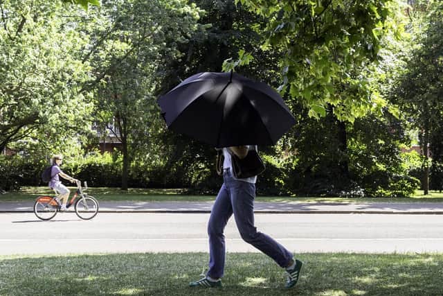Someone walking through the park with an umbrella. (Pic credit: Brook Mitchell / AFP via Getty Images)