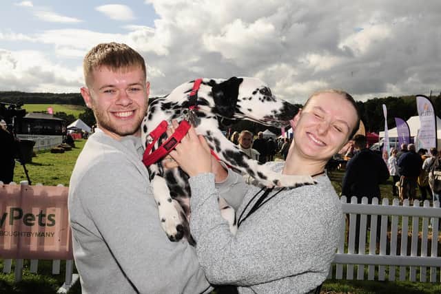 Trigger showed off his cheeky side, entertaining visitors to Harewood House’s DogFest with his playful personality.