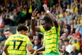 CANARIES MUSTS: Outlined by thriving Norwich City forward Jonathan Rowe, above, ahead of the Leeds United visit after the international break. 
Photo by Cameron Howard/Getty Images.
