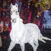 Poppy Wood takes a photograph of an illuminated unicorn among the Enchanted Forest Winter Illuminations at Stockeld Park.