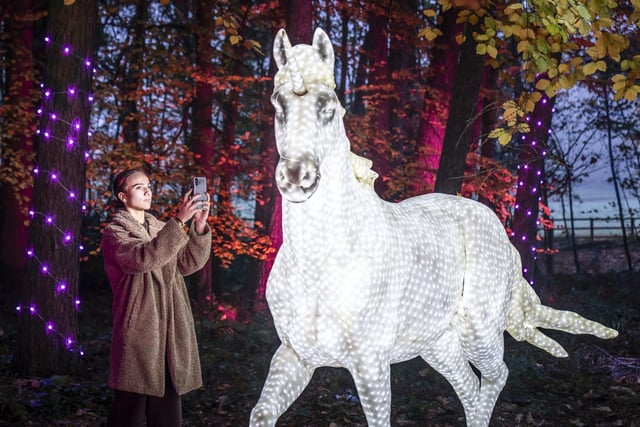 Poppy Wood takes a photograph of an illuminated unicorn among the Enchanted Forest Winter Illuminations at Stockeld Park.