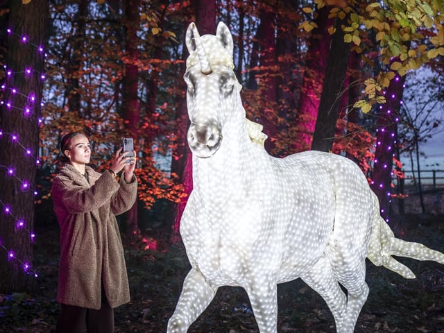 Poppy Wood takes a photograph of an illuminated unicorn among the Enchanted Forest Winter Illuminations at Stockeld Park.