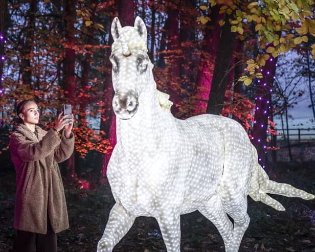 Poppy Wood takes a photograph of an illuminated unicorn among the Enchanted Forest Winter Illuminations at Stockeld Park.