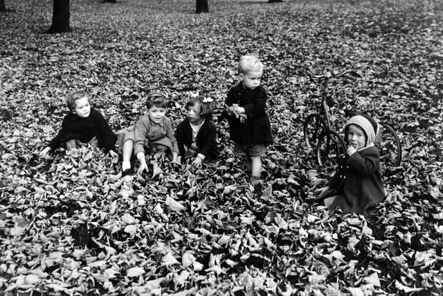 Children play in the autumn leaves at Kirkstall Abbey in October 1957.