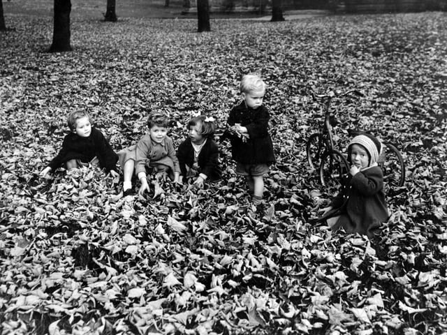 Children play in the autumn leaves at Kirkstall Abbey in October 1957.