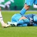 MARSEILLE, FRANCE - NOVEMBER 01: Son Heung-Min of Tottenham Hotspur goes down with an injury during the UEFA Champions League group D match between Olympique Marseille and Tottenham Hotspur at Orange Velodrome on November 01, 2022 in Marseille, France. (Photo by Clive Rose/Getty Images)