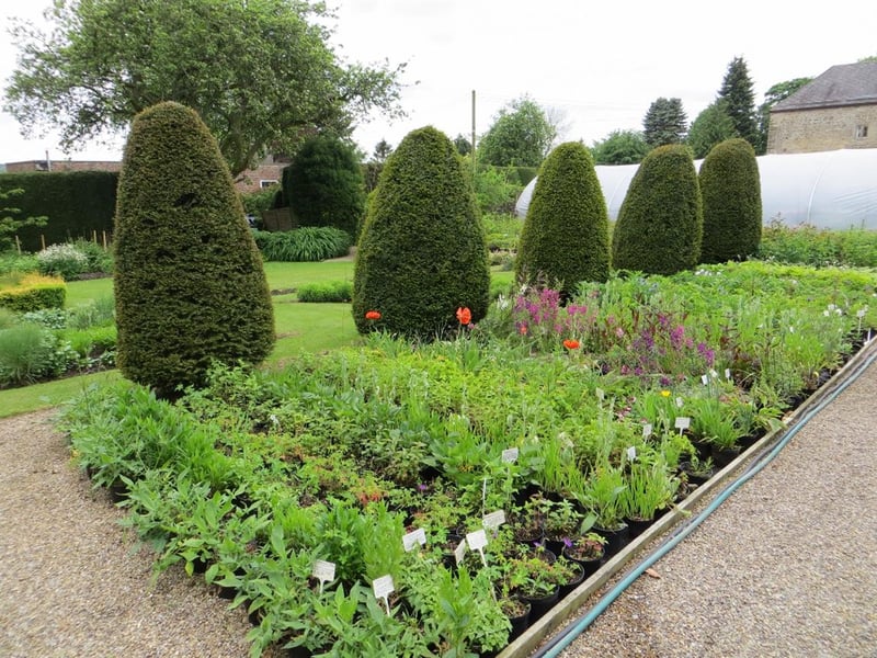 The grounds at Stanton Hall, near Morpeth, have evolved as the garden-centre business has expanded over 35 years. Entry to the gardens is free. Dogs are not allowed, except guide dogs.