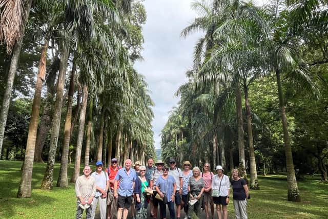 Trees dwarf Travelsphere visitors at horticultural highlight Royal Botanical Gardens