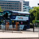 Services 175, 444 and 446 will be diverted.