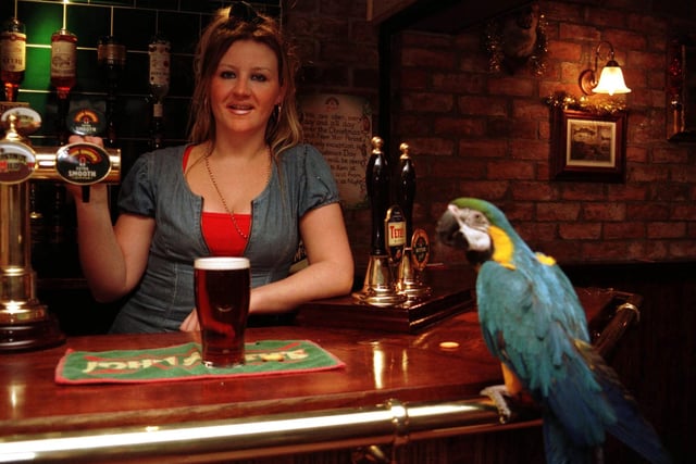Time Please. Jo Rowan, landlady of the Black Lion on Bridlington's High Street with Clive, the blue & gold Macaw parrot, who likes to call last orders. He  sits on the shoulders of the pub's regulars and enjoys a drink.