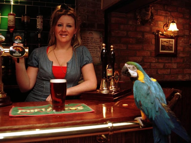 Time Please. Jo Rowan, landlady of the Black Lion on Bridlington's High Street with Clive, the blue & gold Macaw parrot, who likes to call last orders. He  sits on the shoulders of the pub's regulars and enjoys a drink.