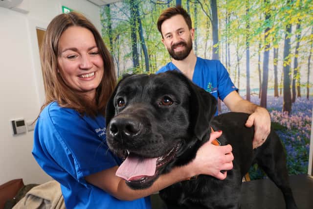 Monty reunited with Leeds vets Becky Taylor and James Tate after life-saving surgery (Photo: Chris Booth)