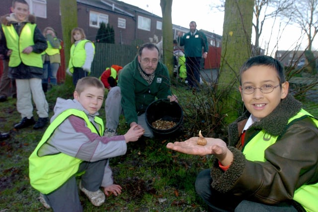 Pupils from Bramley St Peters C of E School planted blubs around trees on the Rossefield estate in December 2003. They are pictured with members of Groundwork Leeds.